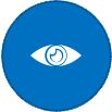 Vision